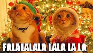 Image result for Christmas Memes 2020