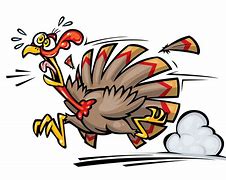 Image result for Thanksgiving Turkey Running