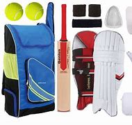 Image result for Cricket Items Bag