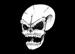 Image result for Evil Skull Screensavers