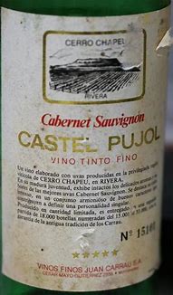 Image result for Carrau Cabernet Sauvignon Castel Pujol Reserva