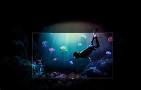 Image result for Dynamic TV