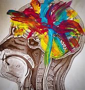 Image result for Watercolor Brain Sections