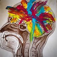 Image result for Artistic Brain