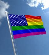 Image result for Rainbow USA Flag