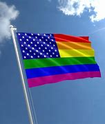 Image result for Rainbow American Flag