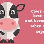 Image result for Facts About Animals