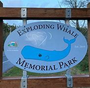 Image result for Exploding Whale Memorial Park