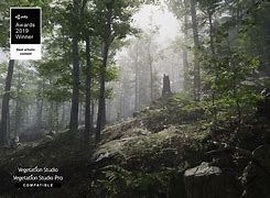 Image result for Unity 3D Forest