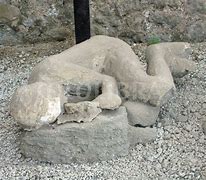 Image result for Pompeii Children Casts