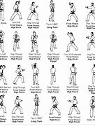 Image result for Mixed Martial Arts Moves