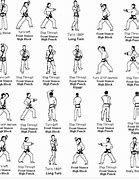 Image result for Fighting Karate Moves