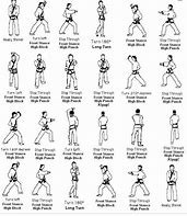 Image result for Every Martial Art