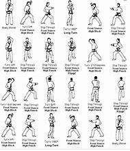 Image result for Free Karate Moves