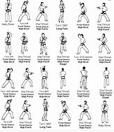 Image result for Martial Arts Fighting Techniques