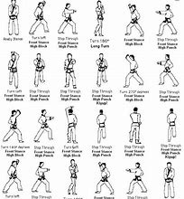 Image result for Karate Examples