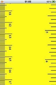 Image result for Ruler for iPhone