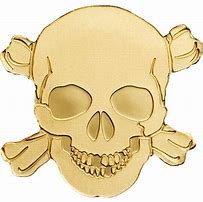 Image result for Real Gold Skull
