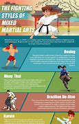 Image result for Top 10 Most Dangerous Martial Artist in the World