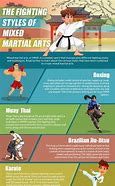 Image result for Best Martial Artist in the World