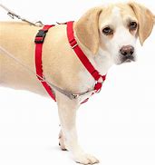 Image result for Back Clip Dog Harness