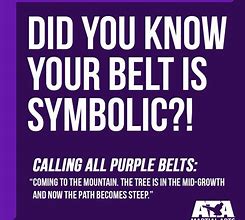 Image result for Purple Belt Memes