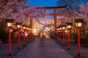 Image result for Japan Cherry Blossom Street