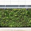 Image result for Living Wall at the Apple Event