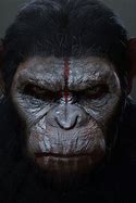 Image result for Caesar Ape Cover Art Letters