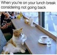 Image result for Funny Break Meme