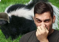 Image result for Stinky Skunk