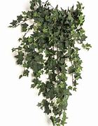 Image result for Artificial Ivy Vines Outdoor On Pole