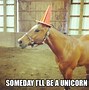 Image result for Funny Unicorn Birthday Meme