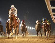 Image result for Dubai World Cup Horse Racing