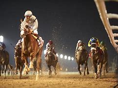 Image result for Dubai Horse Racing