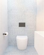 Image result for Toilet Flush Button Design for Wall