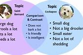 Image result for Compare Two Things Picture