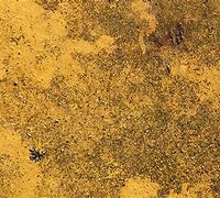 Image result for Rusted Steel Texture