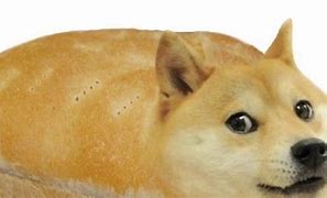 Image result for Evil Doge Loaf
