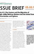 Image result for U.S. Visa