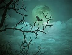 Image result for Spooky Full Moon Forest