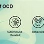 Image result for 5 Types of OCD