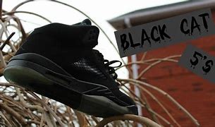 Image result for Jordan 5s Black Cats