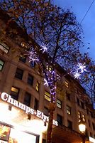 Image result for Champs Elysees Trees