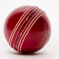 Image result for Cricket for Kids