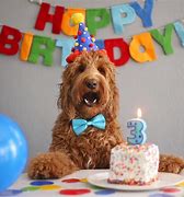 Image result for Happy 3rd Birthday Buddy Dog