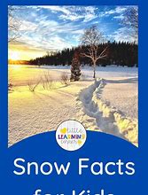 Image result for Winter Fun Facts