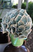 Image result for Money Bouquet Tutorial