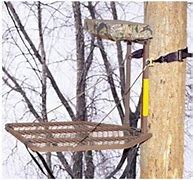 Image result for Tree Stand Camera Mount