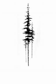 Image result for Tree Tattoo Sketch